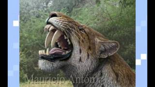 Homotherium In 3 Minutes Scimitar Toothed Cat [upl. by Niwroc]