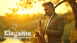 LA MEJOR MÚSICA DE SAXOFÓN DE TODOS LOS TIEMPOS Las 100 Melodias Mas Romanticas Instrumentales Suave [upl. by Rod]