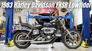 1983 Harley Davidson Shovelhead FXSB Lowrider  ハーレー ショベルヘッド ローライダー [upl. by Fogarty201]