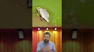 eutrophication upsc shorts environment gk science exam education facts bpsc uppsc rpsc [upl. by Gilead]