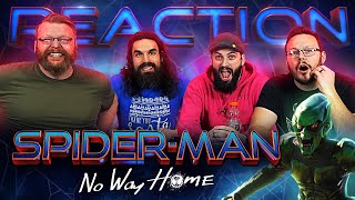 SPIDERMAN NO WAY HOME  Official Trailer REACTION [upl. by Viole673]