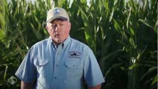 Amana Farms achieve impressive yields in 2012 drought season [upl. by Sutherland932]