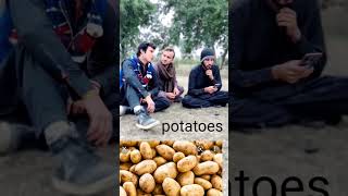 New pashto funny video Chag wazir Team saqifnageen pashtofunny WazirZhankaii Chagwazir [upl. by Ora]