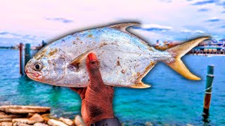 Pompano Were STACKED At THIS Fishing Pier 🔥🔥 [upl. by Tompkins741]