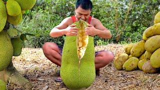 How They Harvest Giant Jackfruits For Street Markets [upl. by Elohc]