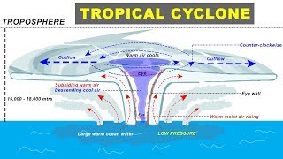 Tropical Cyclone Hurricane Storm Formation explained  Cyclone Biparjay in Arabian Sea Gujarat [upl. by Till503]