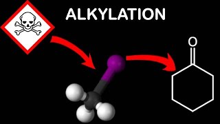 Alkylation of Cyclohexanone [upl. by Darton]