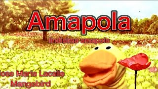 Amapola Spanish  アマポーラスペイン語 独り多重録音 [upl. by Suoinuj]