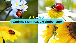 significado e simbologia da joaninha [upl. by Ebba482]