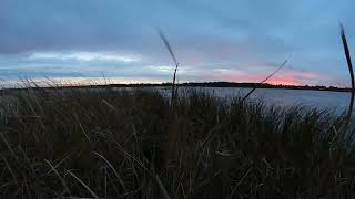 Duck hunting lake Simcoe  hunting waterfowl  Hunting Ontario [upl. by Ahsak]