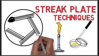 Streak Plate methods and techniques in Microbiology [upl. by Anileba]