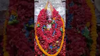 🌺 Joy Maa Tara 🌺 ARATIR AGE TARAPITH LIVE TARAPITH OFFICIAL TARAPITH TEMPLE TARAPITH BIRBHUM [upl. by Nerro514]