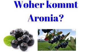 Woher kommt Aronia  Ursprung der Aronia Pflanze [upl. by Niotna]