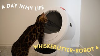 Day in my Life with Whisker LitterRobot 4 unboxing amp settingup [upl. by Meadow64]