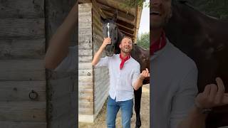 Erkennt ihr alle aus dem Video 🤠🐴 horse pferd pferde pferdecamp shorts equestrian [upl. by Syck]