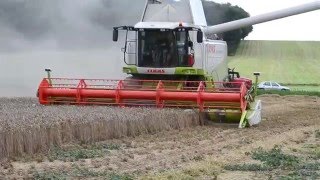 Claas Lexion 570 APS Hybrid Systeme Hd Moisson 2011 [upl. by Sandon500]