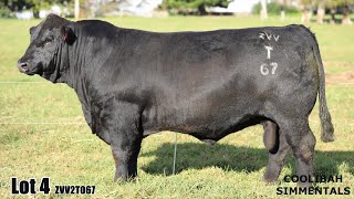 Lot 04 Coolibah Trailblazer ZVV2T067 [upl. by Atok883]