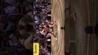 SeptemberSumoBasho 2024 Takayasu vs Hiradoumi sumo tokyo japan 2024 dance trendingshorts [upl. by Moncear]