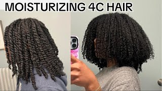 MOISTURIZING 4C HAIR  NATURAL HAIRCARE rayshelltv [upl. by Plunkett]