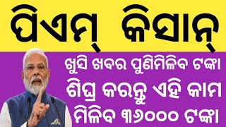 pm kisan online apply 2024pm kisan odisha pm kisan odisha newspm kisan odisha online registaion [upl. by Akimahc]