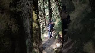 Binsar mahadev yatra pahadilifestylevlog [upl. by Sillihp]