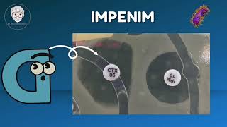 ampC 🆚 ESBL bacteria  ampC Betalactamase Bacteria  Antibiotic Resistance English [upl. by Giselbert]