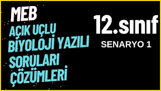 MEB Örnek Açık Uçlu BİYOLOJİ 1Dönem 1Yazılı Soruları Çözümleri 12Sınıf Senaryo 1 [upl. by Westmoreland718]