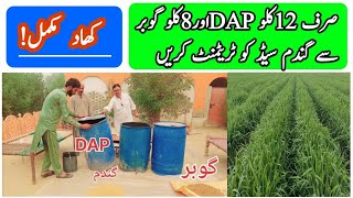 Wheat Seeds Treatments Fertiliser DAP and Gobar Advanced Farming techniques All Crop information [upl. by Pedrick]