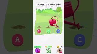 which one is a cherry 🍒 tree proof and win the prize viralshort trending youtube [upl. by Niemad]