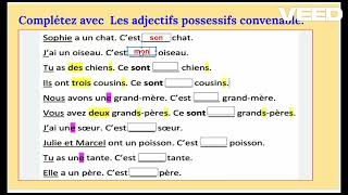 Les adjectifs possessifs 2 [upl. by Wedurn]