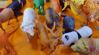 Amazing zoo animal toys for toddlers  farm animal toys  plastic animals figure  wild animals [upl. by Courtenay279]