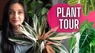 Plant Tour roślinnego pokoju🪴Roślinny VLOG 🌱 Gosia i Miłosz Vlog [upl. by Sevik]