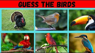 Guess the Bird Quiz  Bird Quiz  Quizevo [upl. by Gloriana]