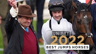 TOP 10 JUMPS HORSES OF 2022 [upl. by Yttig]