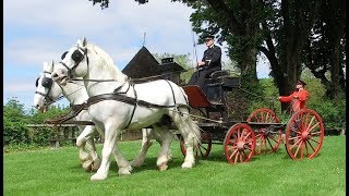 Horsedrawn carriages [upl. by Anawal]