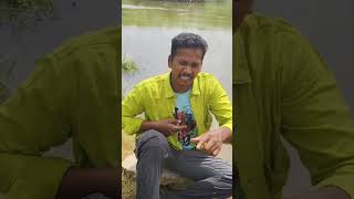 vanakampangalimaduraiylairunthu newsongs lovesong love lovestory 2024shorts lovesongstatus [upl. by Namrehs]