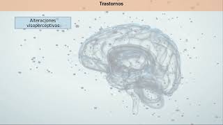 Neuropsicología de la percepción [upl. by Acinoev155]