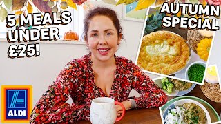 5 Meals For UNDER £25 From Aldi  The BEST Autumn Meals On A Budget  Family Meals From Aldi [upl. by Tadeas63]