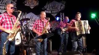 RED RAVENS POLKA BAND  ENNIS TX 04292016 [upl. by Kwapong]