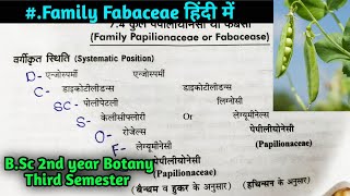 Family Papilionaceae or Fabaceae  BSc 2nd year Botany third Semester [upl. by Aciraj]