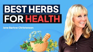 Barlow Herbal Remedies For Holistic Health w Jane Barlow Christensen  Lomatium Dissectum [upl. by Stacie]