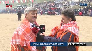 AYDIN  KUYUCAK GELENEKSEL DEVE GÜREŞİ FESTİVALİ [upl. by Rratsal]