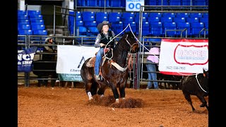 USTRC Heads amp College Breakaway amp Goat ties 2009 AQHA Bay Roan geld [upl. by Gitt]