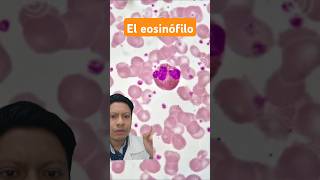 Conoce al eosinófilo ATLAS de hematología [upl. by Enninaej65]