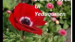 BRAHIM TAYEB  Ul yeduqussen [upl. by Cristiano]