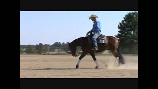 Stunning Reining Horse  Intentional 2017 AQHA bay gelding by Gunnatrashya [upl. by Stoddard]