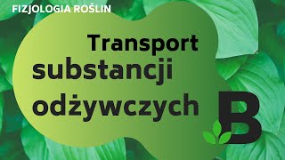 Transport substancji odżywczych  FIZJOLOGIA roślin  KOREPETYCJE z BIOLOGII  276 [upl. by Haley]