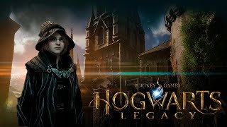 Hogwarts Legacy I O DESESPERO DO ELFO I PC RTX 3060 hogwartsgameplay hogwartsgameplay harrypotter [upl. by Eb]