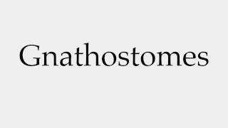 How to Pronounce Gnathostomes [upl. by Aliehs]