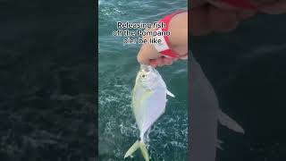 Releasing fish off the Pompano pier be like ￼￼Fishing PierFishing ￼ [upl. by Liborio4]